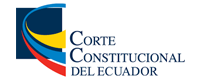 corte constitucional